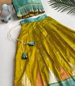Beautiful girl’s set crafted in soft woven fabric features elegant panel work and fine detailing,