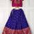Blue  ethnic skirt and top set featuring an elegant border design with intricate woven motifs