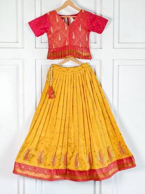 Beautiful ethnic skirt and top set featuring an elegant daaman design with intricate woven motifs 3