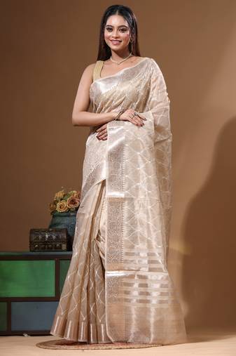 Beige tissue with computer embroidery saree with blouse piece