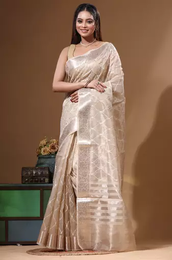 Beige tissue with computer embroidery saree with blouse piece
