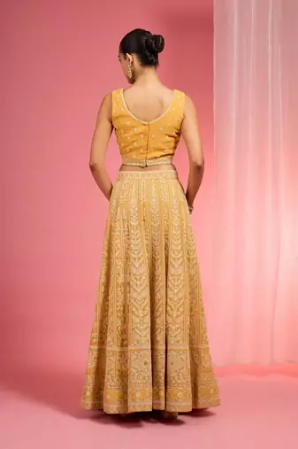 Mustard Yellow Dori And Resham Work Georgette Lehenga Cape Set