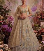 Beige net embroidered designer lehenga choli set