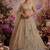 Beige net embroidered designer lehenga choli set