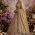 Beige net embroidered designer lehenga choli set