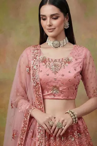Pink net embroidered lehenga choli