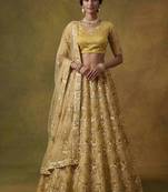 Mustard net embroidered lehenga choli