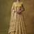 Mustard net embroidered lehenga choli
