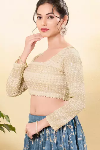 Women's jain silk padded back open full sleeves saree blouse