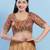 Women's brocade padded front open elbow sleeves saree blouse