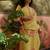 Women Ethnic Motifs Printed Regular Pure Cotton Kurta with Trousers & With Dupatta