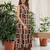 Printed Khaki Viscose Rayon Co Ords for Women