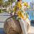 Printed Off White & Yellow Cotton Blend Co Ords for Women
