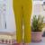 Women Embroidered Regular Pure Cotton Kurta with Pyjamas & With Dupatta