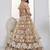 Dazzling Beige Embroidered Net Marriage Wear Lehenga With Blouse