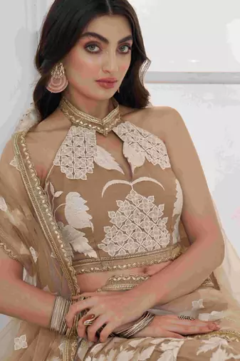 Dazzling Beige Embroidered Net Marriage Wear Lehenga With Blouse