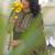 Women Ethnic Motifs Embroidered Regular Kurta with Palazzos & With Dupatta