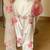 women's silk embroidered farshi salwar suit with dupatta set