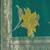 Women's teal green jacquard silk blend saree with zari floral border wear