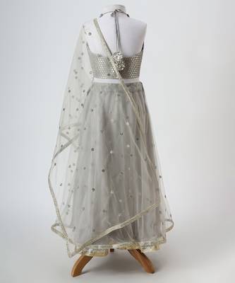Silver grey embroidered faux and net lehenga set 4