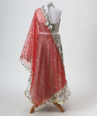 Silver grey embroidered faux and net lehenga set 4