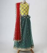 Yellow and green embroidered raw silk organza lehenga set