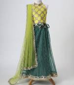 Yellow and green embroidered raw silk organza lehenga set