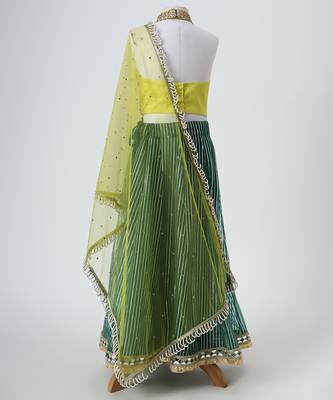 Yellow and green embroidered raw silk organza lehenga set 4