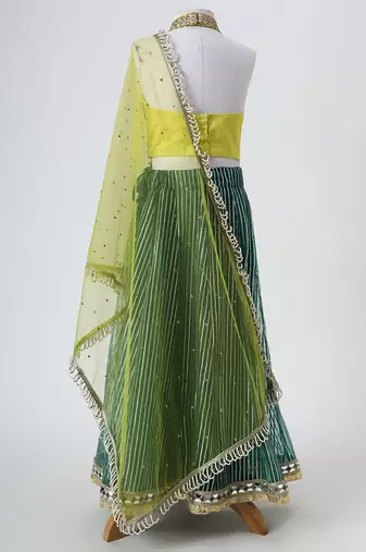 Yellow and green embroidered raw silk organza lehenga set