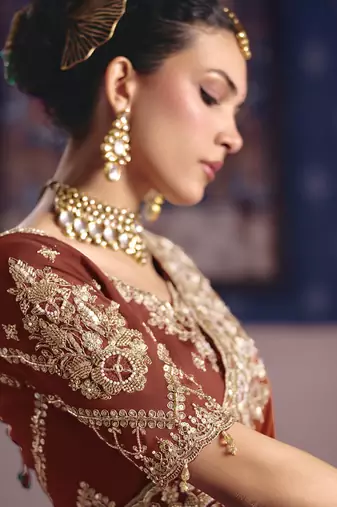rust viscose zari tissue heavy embroidery designer saree