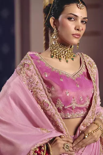 baby pink zari tissue heavy embroidery designer saree