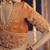 orange tissue heavy embroidery designer saree