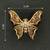 Elegant gold-plated butterfly brooch with pink and clear stone detailing