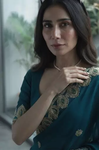 party wear saree with blouse