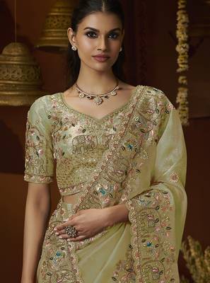 Designer pista tissue fabric saree with pista tissue blouse fabric 2