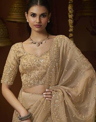 Designer gold tissue fabric saree with gold tissue blouse fabric 2