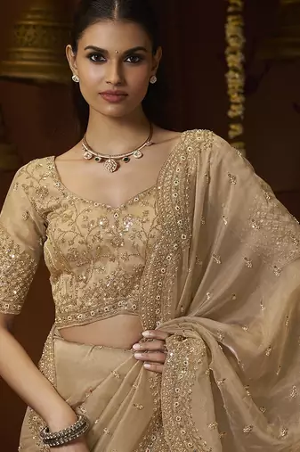 Designer gold tissue fabric saree with gold tissue blouse fabric