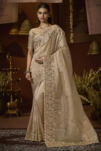 Designer chiku tissue fabric saree with chiku tissue blouse fabric