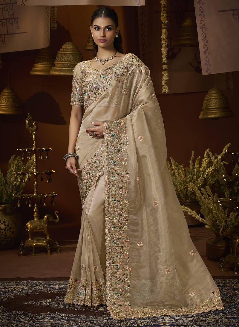 Designer chiku tissue fabric saree with chiku tissue blouse fabric