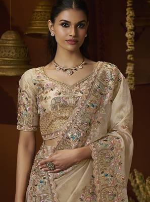 Designer chiku tissue fabric saree with chiku tissue blouse fabric 2