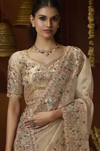 Designer chiku tissue fabric saree with chiku tissue blouse fabric