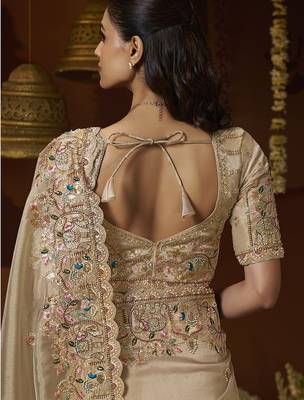 Designer chiku tissue fabric saree with chiku tissue blouse fabric 3