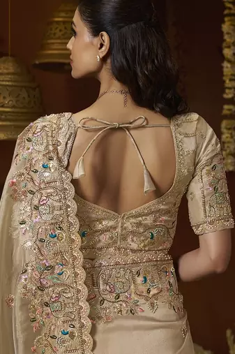 Designer chiku tissue fabric saree with chiku tissue blouse fabric