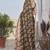Women's brown floral print chiffon ready to wear saree | pre draped party wear saree