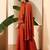 Orange embroidery organza silk kurta with plazzo and dupatta