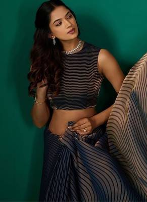 Striped Beads and Stones Organza Saree 7