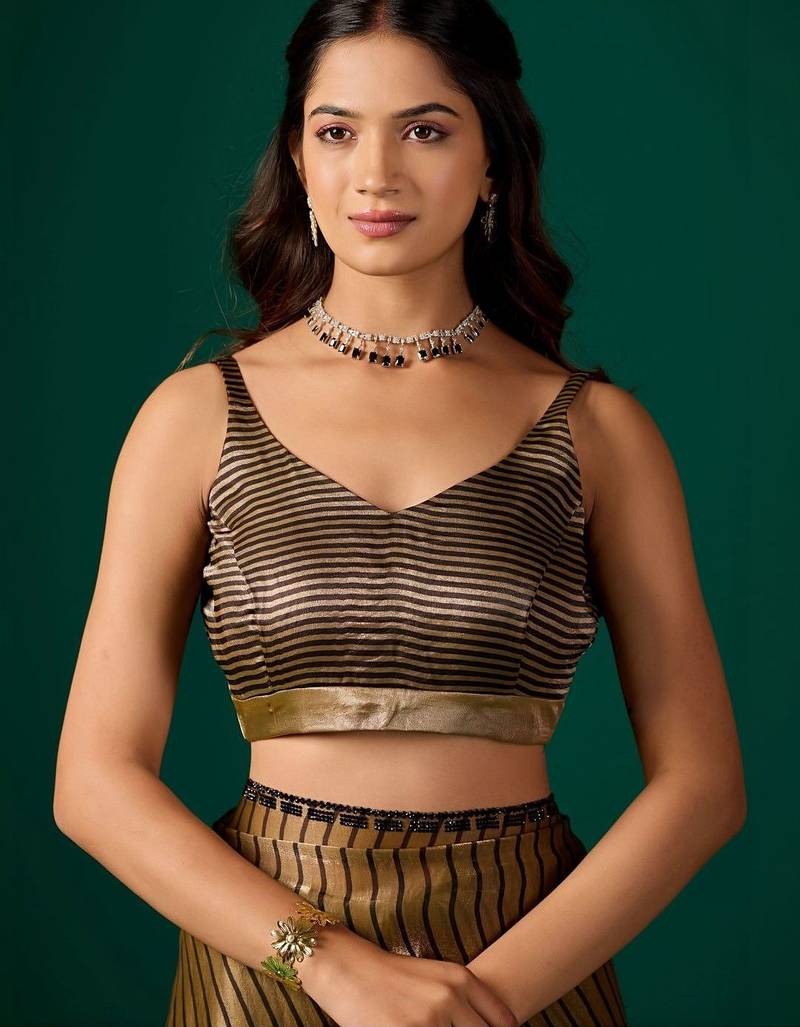 Striped Beads and Stones Organza Saree