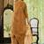 Brown party wear embroidery silk blend kurta with plazzo and dupatta