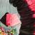 pink georgette ombre plain saree