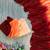 multicolor georgette ombre plain saree